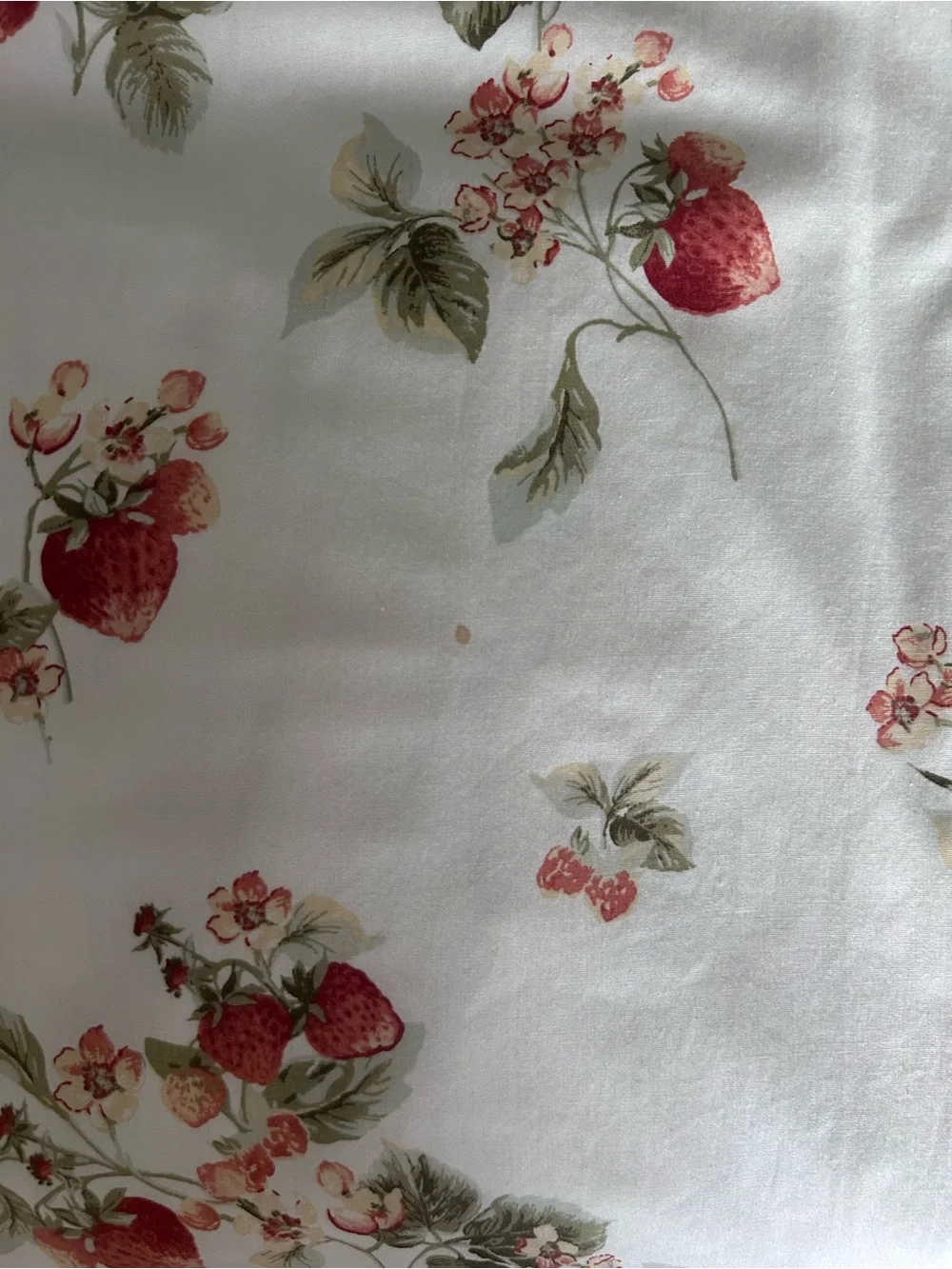 Abercrombie White Floral Strawberry Print Sundress